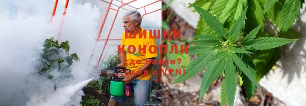 дмт Алзамай