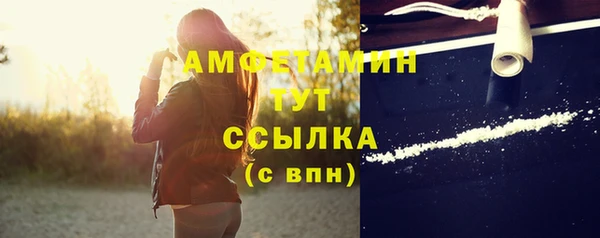 дмт Алзамай