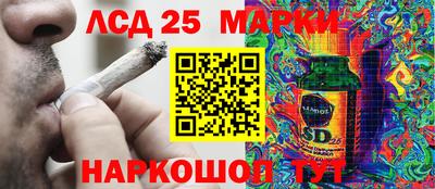 mdpv Канаш
