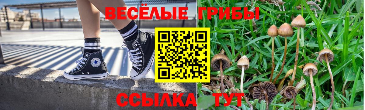 Псилоцибиновые грибы мухоморы Кызыл