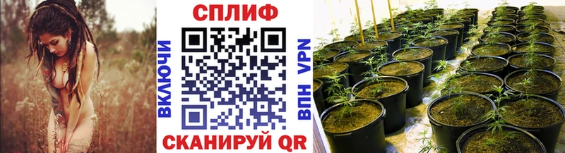 Канабис MAZAR Кызыл