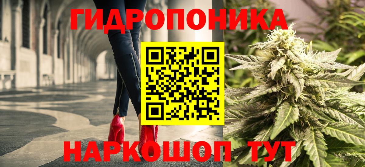 Канабис сатива  Канабис марихуана  МАРИХУАНА планчик  МАРИХУАНА план  Кызыл  Вход с VPN 